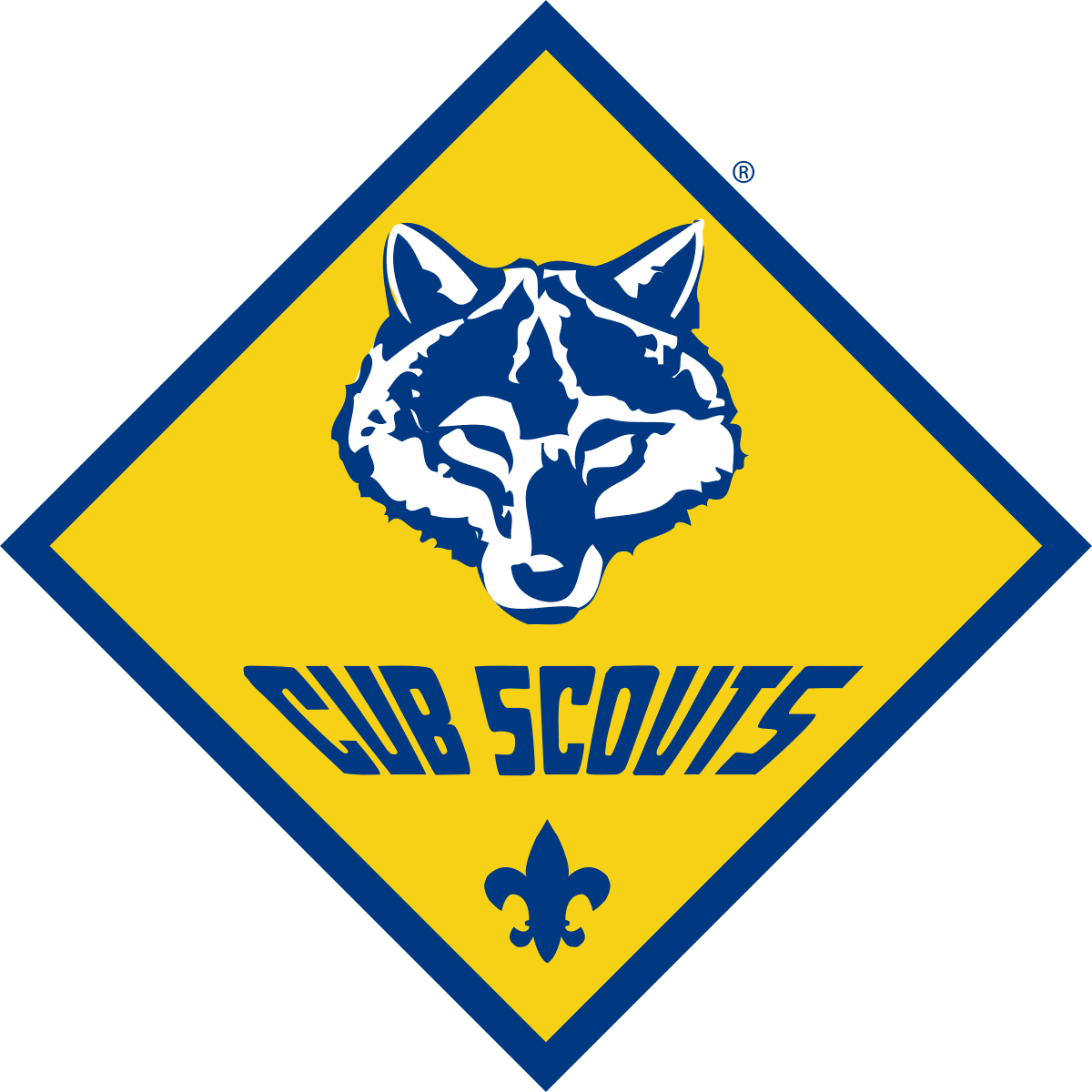 ranks-cub-scout-pack-36